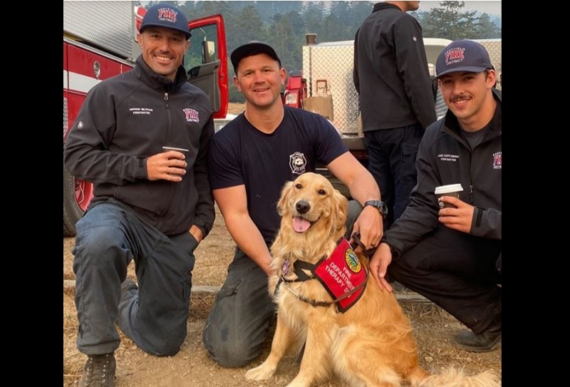 Kerith, perra, golden retriever, bomberos, California, incendios